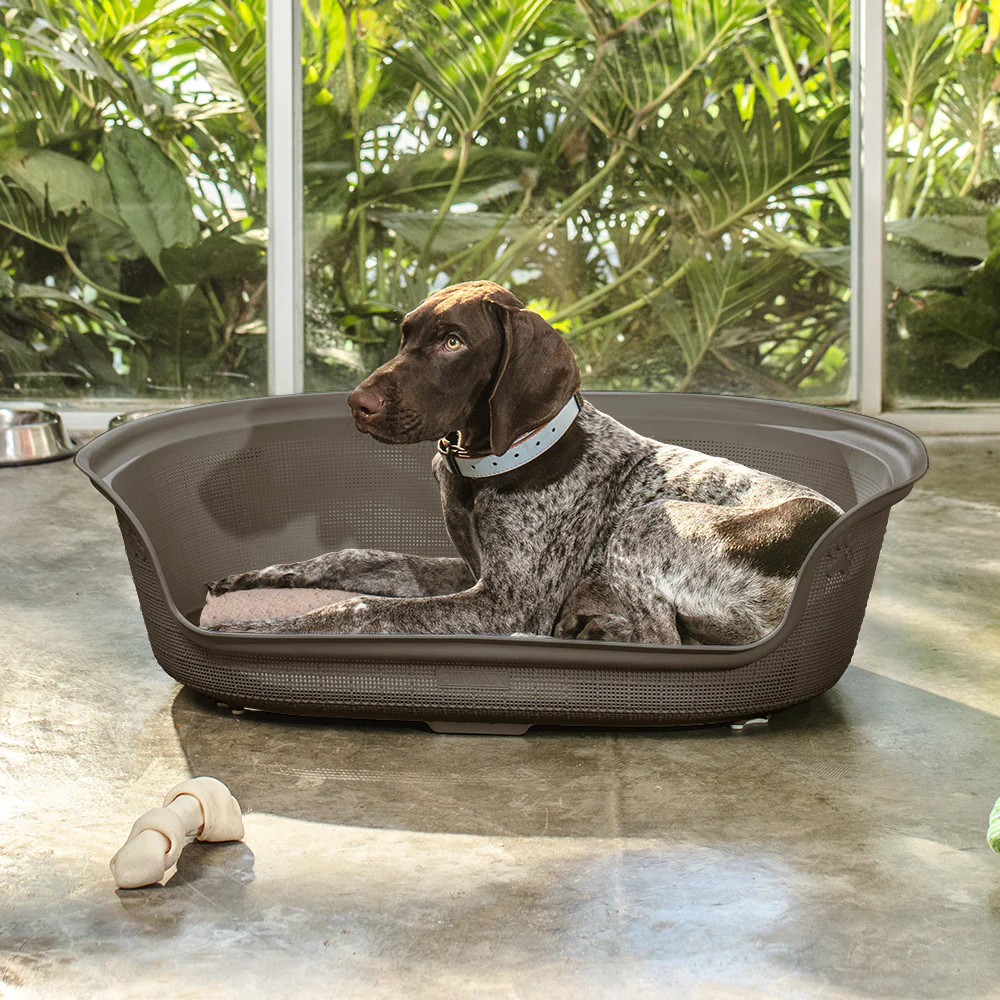 Cama para perro mocca marca Rimax - Image 2