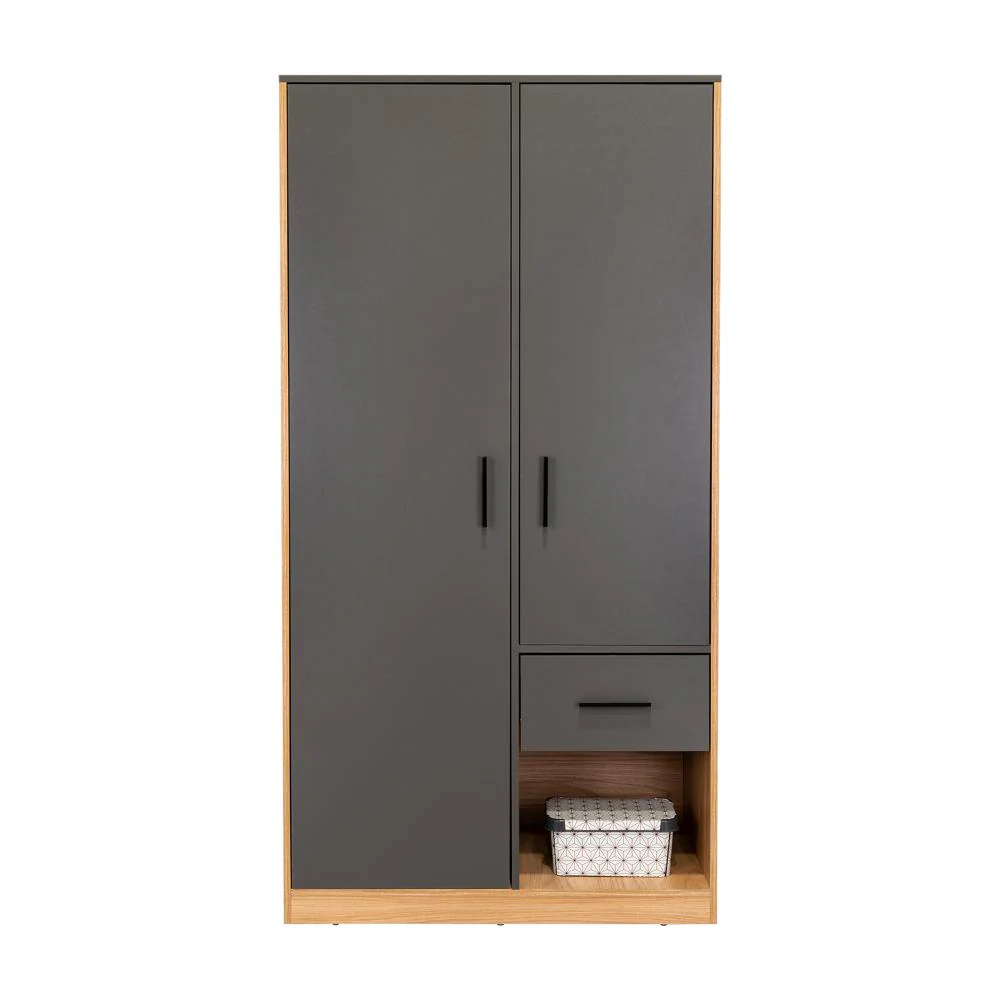 Closet Giroa, Plata Oscuro y Fresno Europeo, Con Dos Puertas Abatibles - Image 3