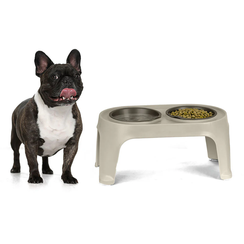 Comedero alto para perros medium taupe marca Rimax - Image 4